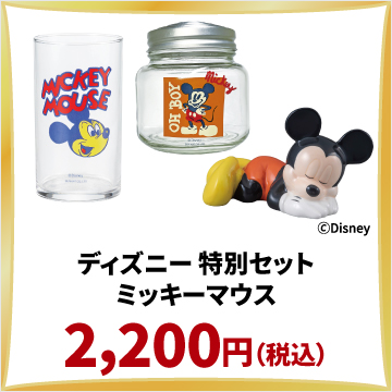 ディズニー 特別セット ミッキーマウス